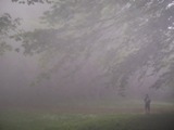 Clicca qui per vedere l'immagine in dettaglio